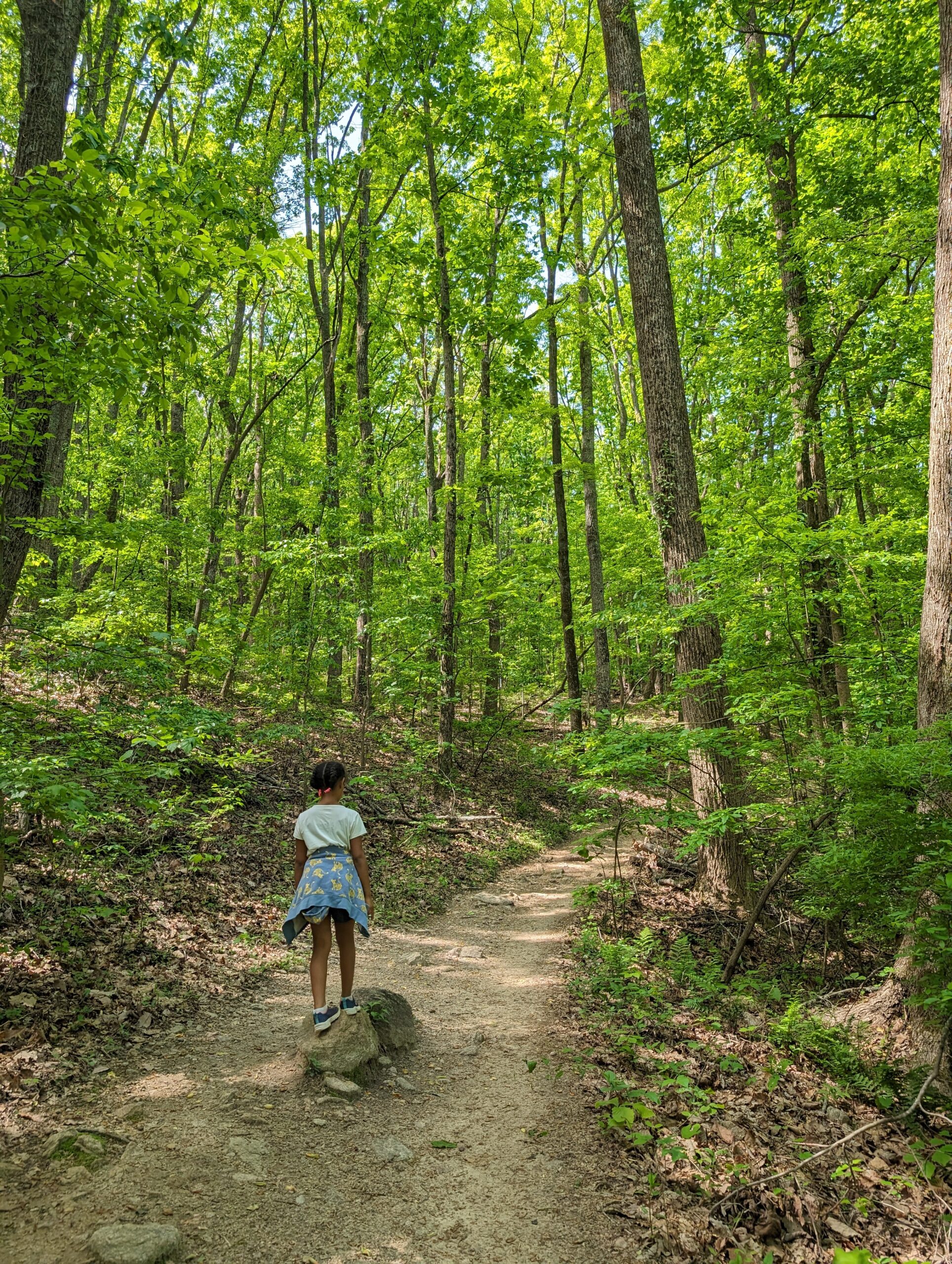 Sawnee Mountain Hike. Cummin, GA